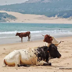  Сasa de vacaciones El Duende De Tarifa España